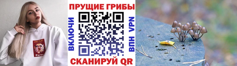цена наркотик  KRAKEN как зайти  Псилоцибиновые грибы GOLDEN TEACHER  Белорецк 